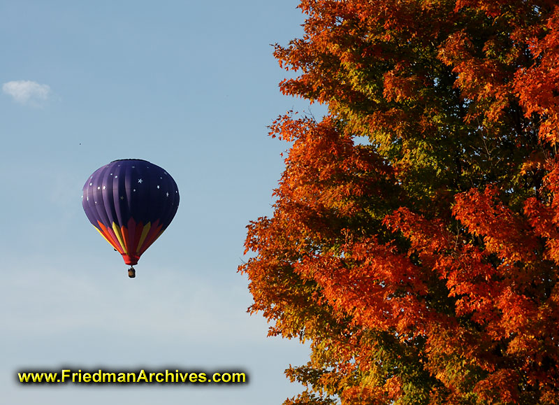 fall,leaves,color,orange,sky,balloon,blue,